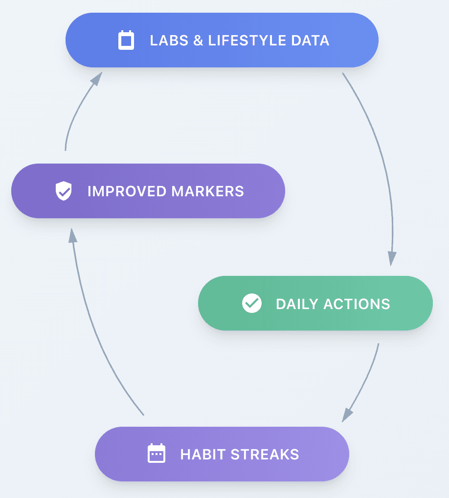 Habit Loop: Labs & Lifestyle Data → Daily Actions → Habit Streaks → Improved Markers